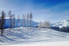 Lü, Januar 2018